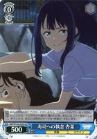 ヴァイス　マケイン　杏菜　SR RRR 17種セット 4Kヒロイン 杏菜【ヴァイスシュヴァルツトレカお買得価格通販
