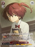 【ヴァイス】PR◇その瞳に映るのは 知花