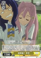 ヴァイス　マケイン　杏菜　SR RRR 17種セット ヴァイス/負けヒロインが多すぎる/マケイン/RRR 驚異的な金額