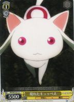 【ヴァイス】C◇現れたキュゥべえ