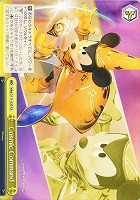 カードを売る/ヴァイスシュヴァルツ/2024年度作品/Disney ミラー