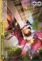 【ヴァイス】CC◇立ちはだかる強敵