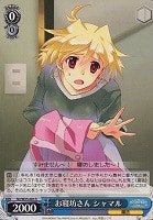 【ヴァイス】U◇お寝坊さん シャマル