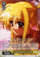 【ヴァイス】R◇これからのこと フェイト