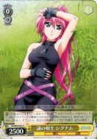 【ヴァイス】Ｕ◇謎の剣士　シグナム