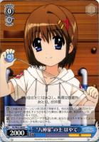 【ヴァイス】U◇“八神家”の主 はやて