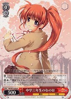 【ヴァイス】R◇中学三年生のなのは