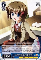 【ヴァイス】U◇中学三年生のはやて