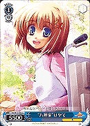 【ヴァイス】C◇“八神家”はやて