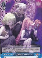 【ヴァイス】C◇守護騎士プログラム