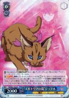 【ヴァイス】R◇“エルトリアの猫”シュテル