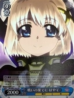 【ヴァイス】プロモ◇戦いの果てに はやて