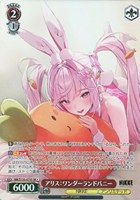 アリス:ワンダーランドバニー