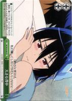 【ヴァイス】ＣＲ◇大きな背中