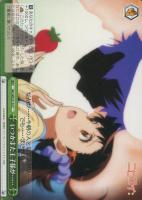 【ヴァイス】C)ノーマル仕様◇いつかまた王子様が……