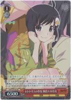 PSA10 ホトトギスの少女 阿良々木月火 SP サイン 化物語