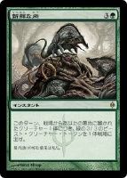 カードを売る マジック ザ ギャザリング 神話レア レア 新たなる