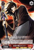 【ヴァイス】U◇放浪の騎士ゼスト