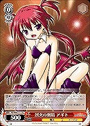 【ヴァイス】TD◇烈火の剣精アギト
