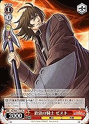 【ヴァイス】TD◇放浪の騎士ゼスト