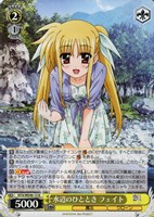 【ヴァイス】Ｎ◇水辺のひととき フェイト