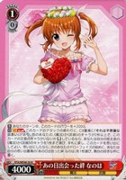 【ヴァイス】N◇あの日出会った絆 なのは