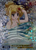 【ヴァイス】ＰＲ＋）箔押し◇これからのこと フェイト