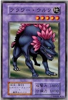 フラワー・ウルフ