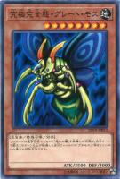 遊戯王 インセクト女王 41tJv2UydtL._UF894,1000_QL80_.jpg