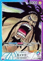 【ワンピ】Ｌ）パラレル◇カイドウ[原作]