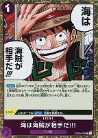 【ワンピ】R◇海は海賊が相手だ!!!