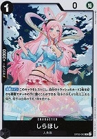 【ワンピ】R◇しらほし