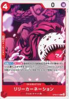 【ワンピ】Ｃ◇リリーカーネーション