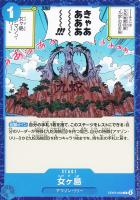 【ワンピ】C◇女ヶ島