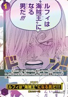 ルフィは“海賊王”になる男だ!!![パラレル][紫絵フルアート]