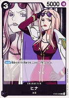 【ワンピ】C◇ヒナ