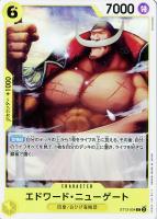 【ワンピ】Ｃ）ホロ◇エドワード・ニューゲート[カラー]