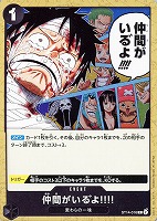 【ワンピ】C◇仲間がいる゛よ!!!!