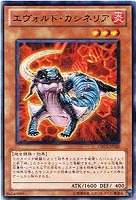 エヴォルカイザー ソルデ 遊戯王トレカ高価買取価格査定 トレコロ
