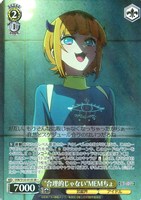 “合理的じゃない”MEMちょ