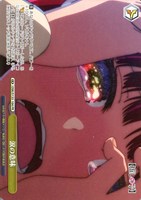 涙の意味[ノーマル仕様]