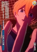 完成した計画[ノーマル仕様]