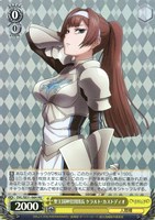 【ヴァイス】HU)キラ仕様◇聖王国神官団団長 ケラルト・カストディオ