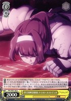 【ヴァイス】U◇聖王国神官団団長 ケラルト・カストディオ