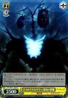 【ヴァイス】HC)キラ仕様◇2つのアクセサリー 頭冠の悪魔