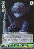 【ヴァイス】HC)キラ仕様◇番人との邂逅 ネイア