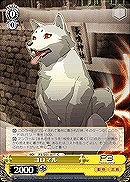 【ヴァイス】C◇コロマル