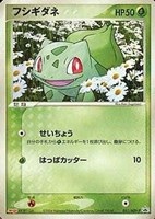 【ポケカ】PR◇フシギダネ