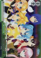 共鳴する“DIVA”初音ミク【ヴァイスシュヴァルツトレカ高価