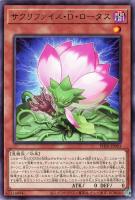 アロマリリス－ロザリーナ【遊戯王トレカお買得価格通販：トレコロ】